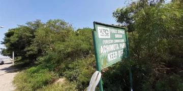 Ghana: la contestation s’organise pour sauver la forêt d’Achimota