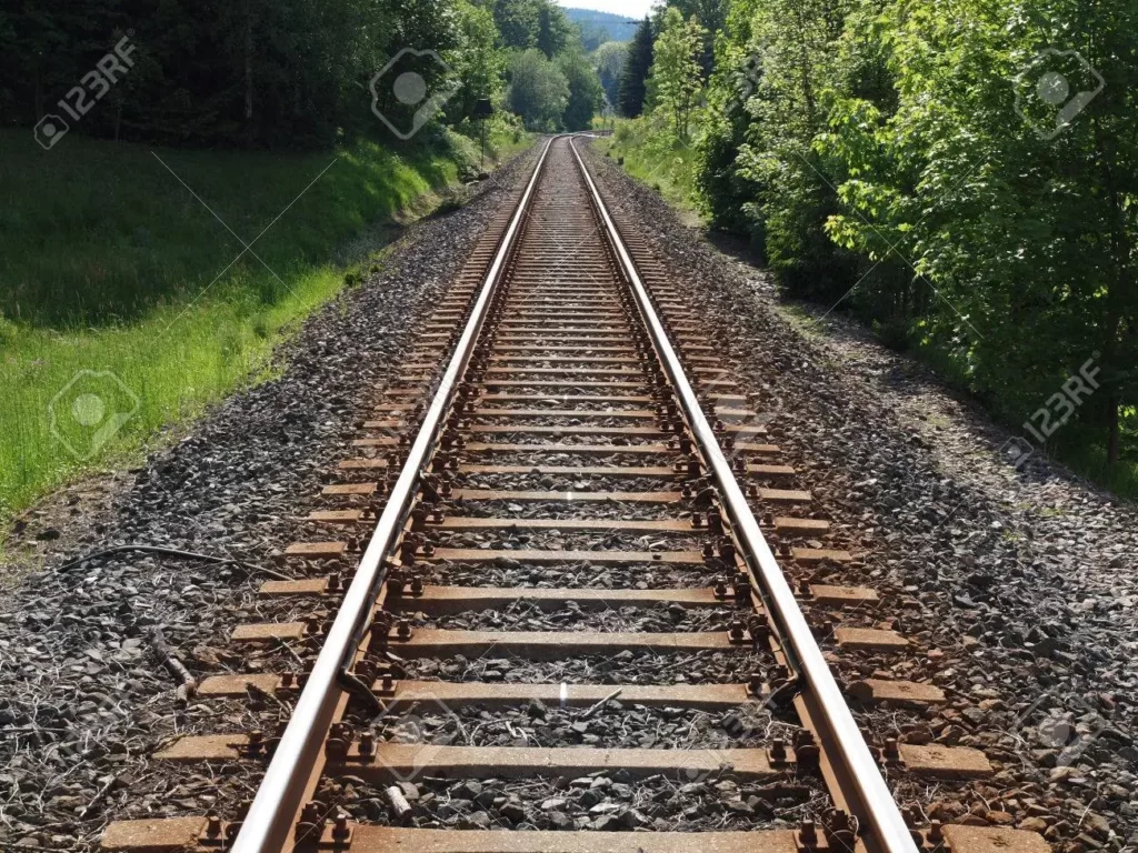 Coopération : les autorités de la transition ambitionnent de relier la Guinée au Mali via une voie ferroviaire