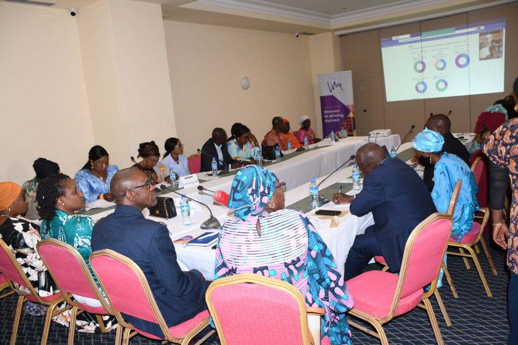 Gestion du FODEL à Boké et Boffa: «sur 600 projets octroyés, seulement 30 ont été donnés à des structures féminines », (WIM- Guinée)