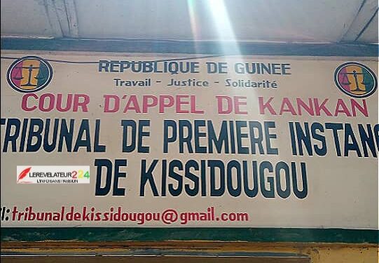 Guinée : des produits impropres à la consommation saisis à Kissidougou