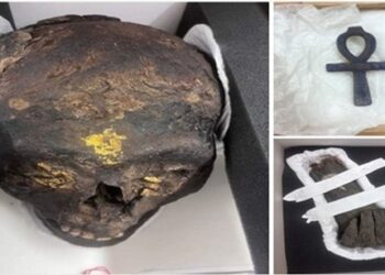 L’Allemagne remet au Caire trois artefacts de l’Égypte antique