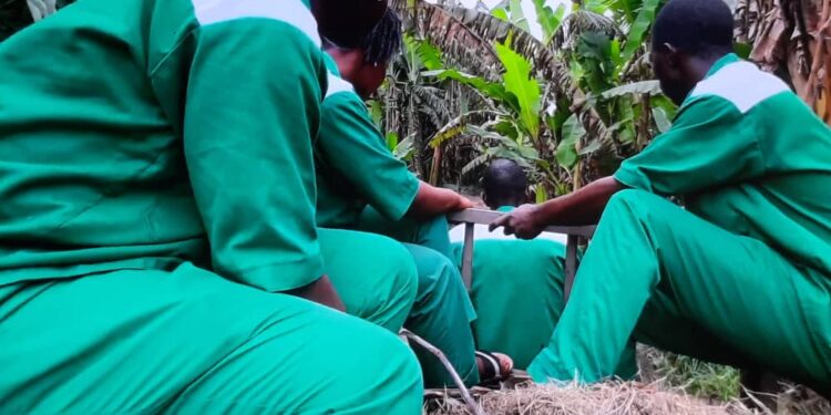 Prévention des conflits en Guinée Forestière : l’ONG Vertice propose l’entrepreneuriat et la formation des jeunes comme approche de solution !