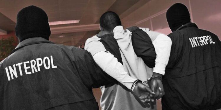 Criminalité dans les zones minières : Interpol démantèle un vaste réseau en Guinée et dans trois pays