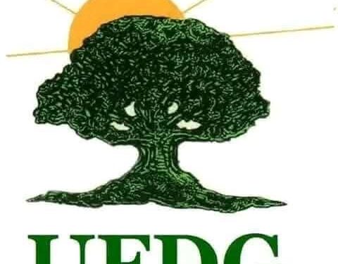 Guinée : de nouvelles arrestations dans les rangs de l’UFDG, les avocats du parti désapprouvent la méthode ( communiqué)