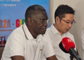 MINES / Retrait des permis miniers : Ahmed Kanté fait une proposition concrète à l’État guinéen