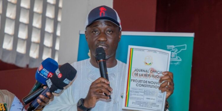 Publication du projet de Constitution : La charrue avant les bœuf…