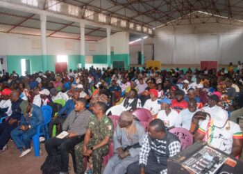 AGB2A-GIC et l’ONG Aimer la Guinée forment 264 jeunes sur le projet de Constitution à Boffa