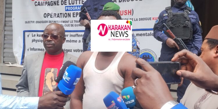 Guinée : les services spéciaux arrêtent deux jeunes en possession de cocaïne et de la drogue crack ( Foromo SOROPOGUI)