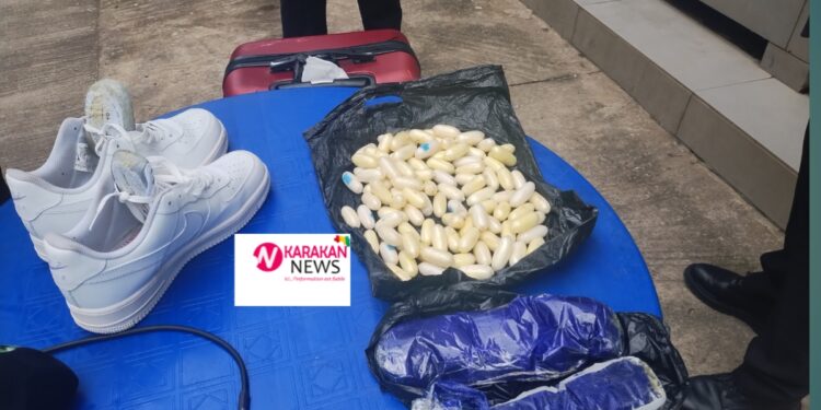 Guinée : 1,7 kg de cocaïne en partance pour la France saisies sur un jeune trafiquant Sierra Leonais ( services spéciaux)