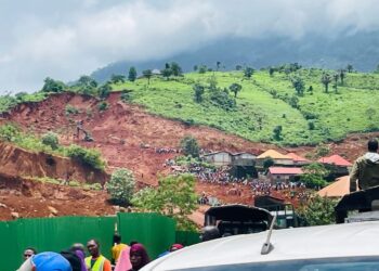 TLP-Guinée dénonce la violence excessive des militaires contre des manifestants pacifiques à Niaya Foritah, dans Faranah( communiqué)